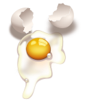 egg -uncooked